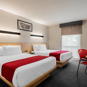 Double Room Two Double Beds